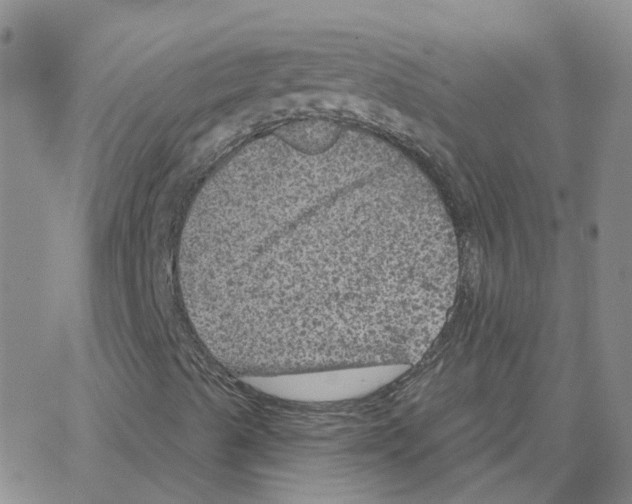 X0000064741489200603131305