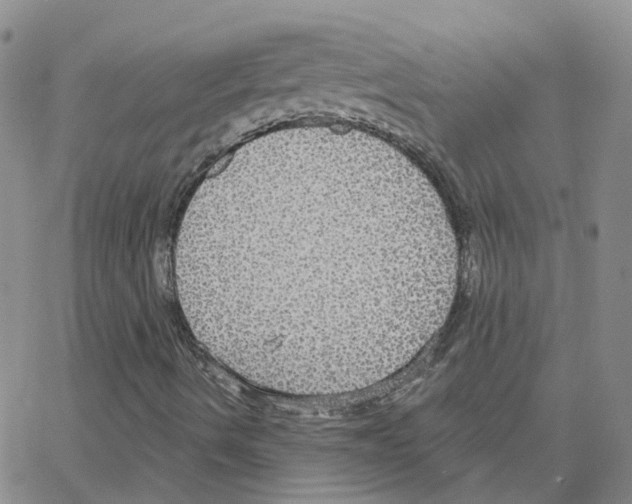 X0000064741490200603131305