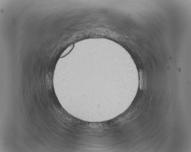 X0000064741491200603131305