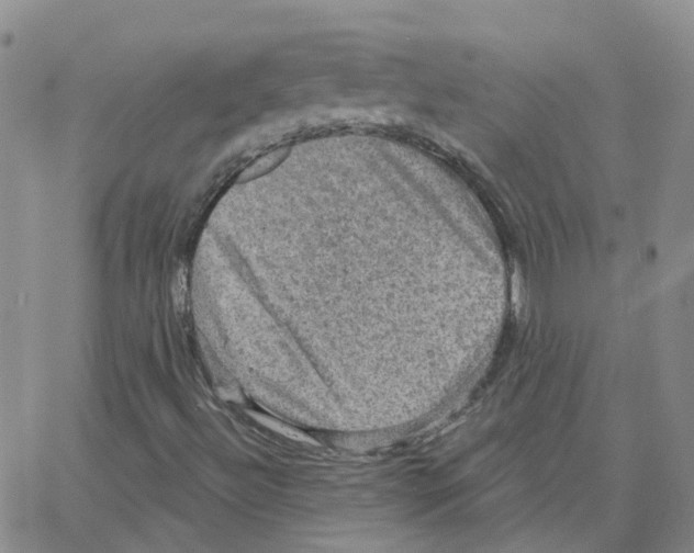 X0000064741492200603131305