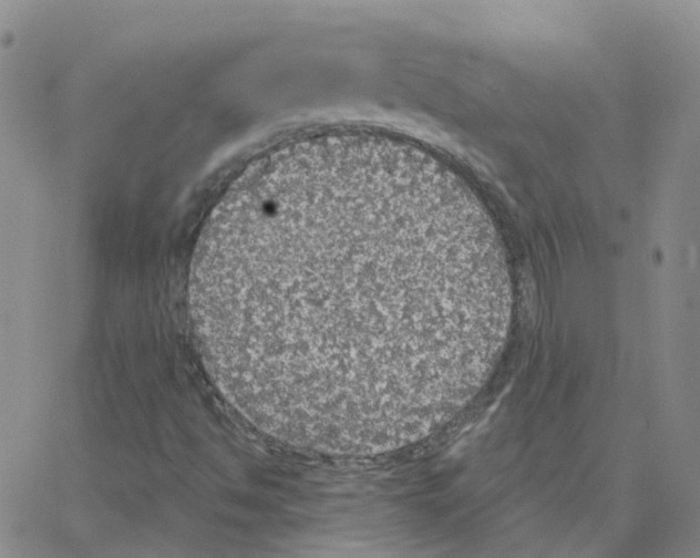 X0000064741494200603131305