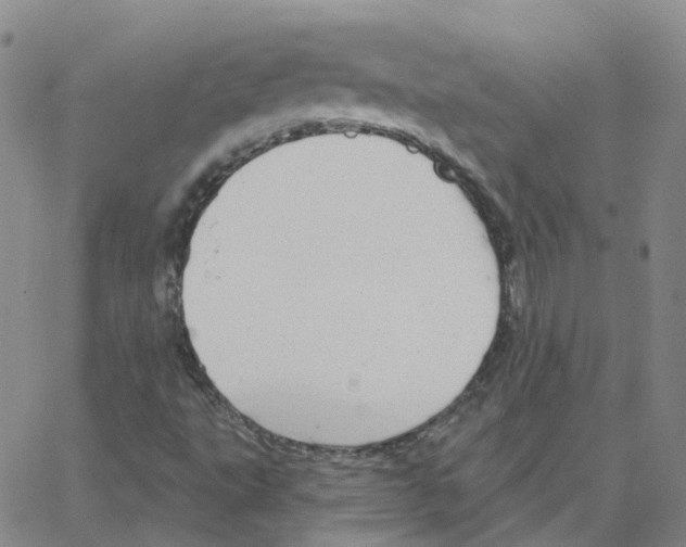 X0000064741495200603131305