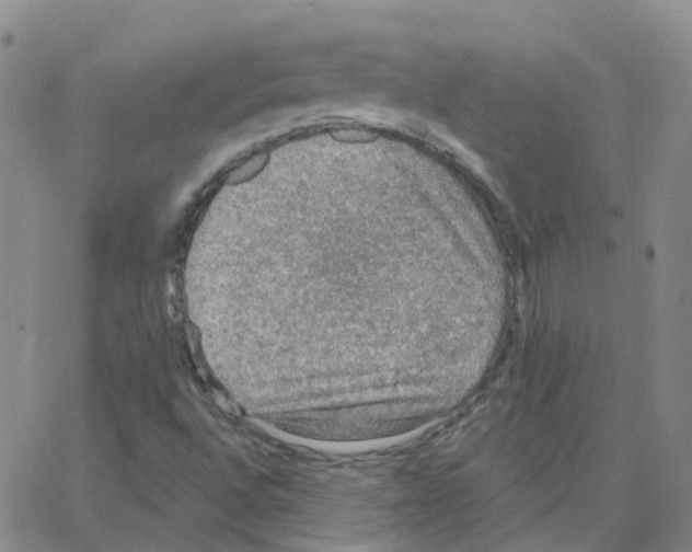 X0000064741496200603131305