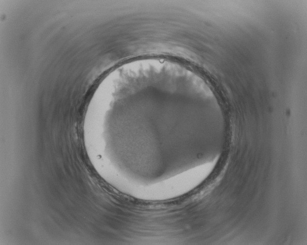 X0000064741497200603131305