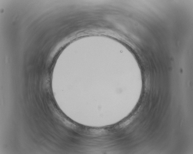 X0000064741498200603131305