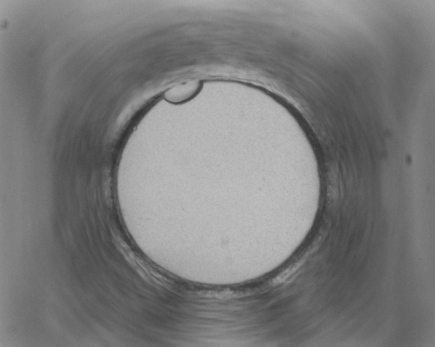 X0000064741499200603131305