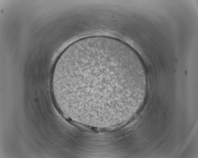 X0000064741500200603131305