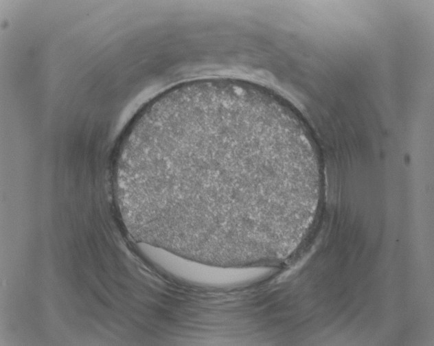 X0000064741501200603131305