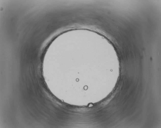 X0000064741502200603131305