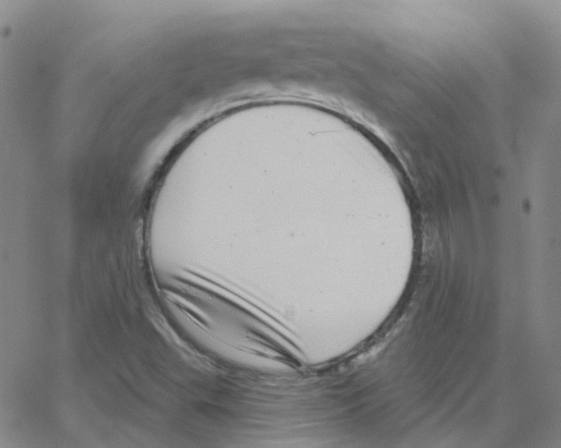 X0000064741503200603131305