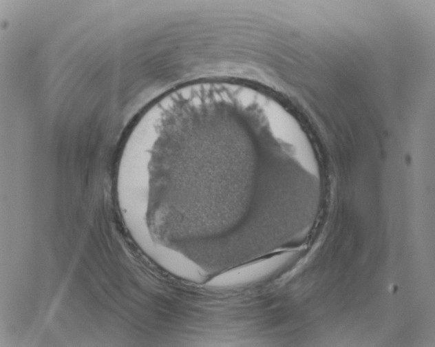 X0000064741505200603131305