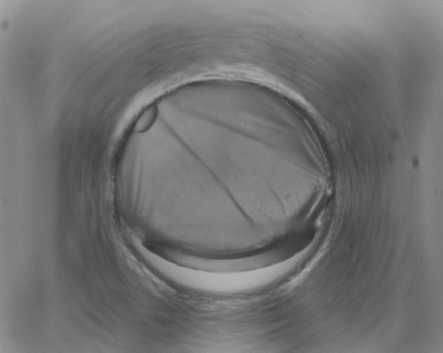 X0000064741506200603131305