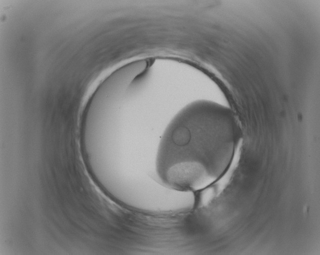 X0000064741508200603131305