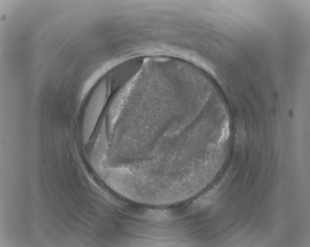 X0000064741509200603131305