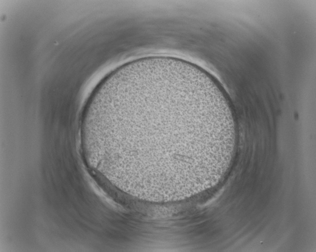 X0000064741511200603131305