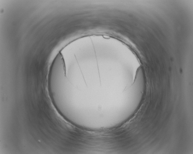 X0000064741512200603131305