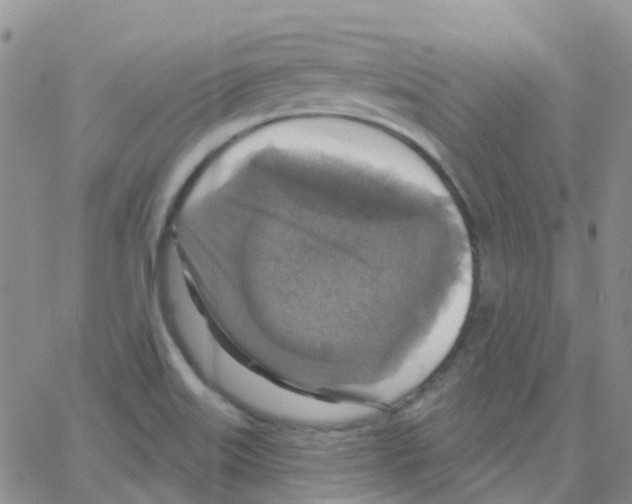 X0000064741515200603131305