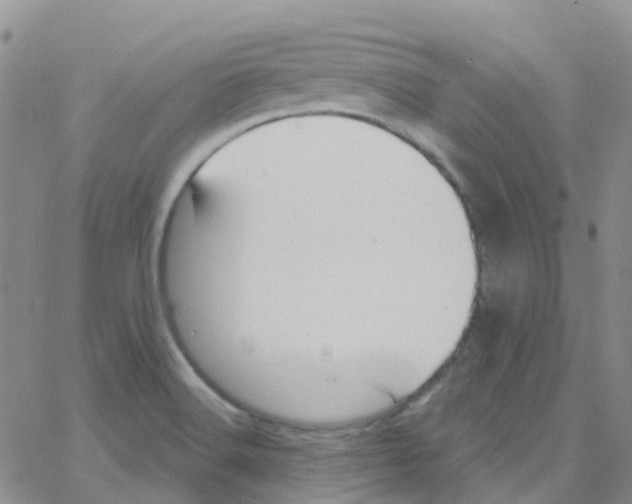 X0000064741516200603131305