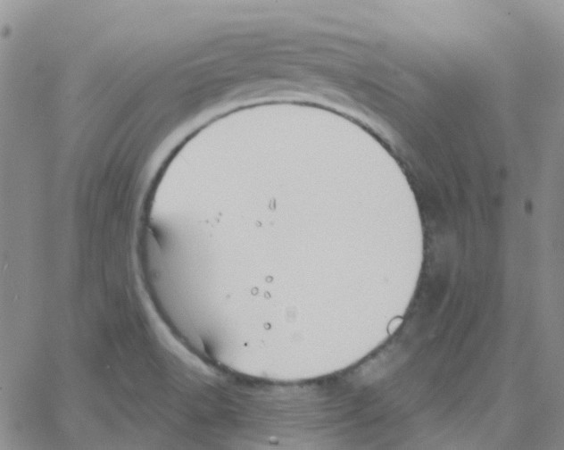 X0000064741518200603131305