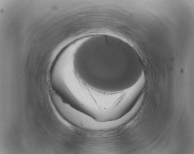 X0000064741519200603131305