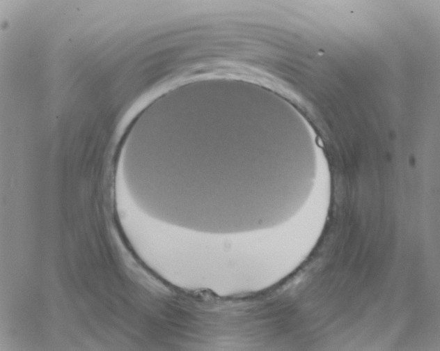 X0000064741522200603131305