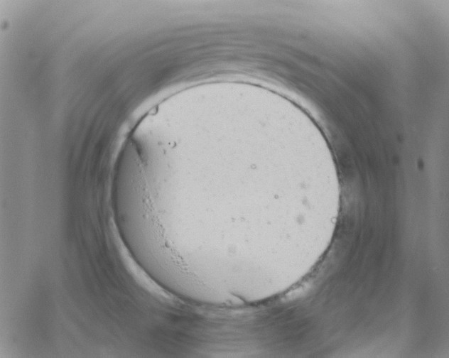 X0000064741526200603131305