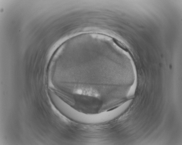 X0000064741527200603131305