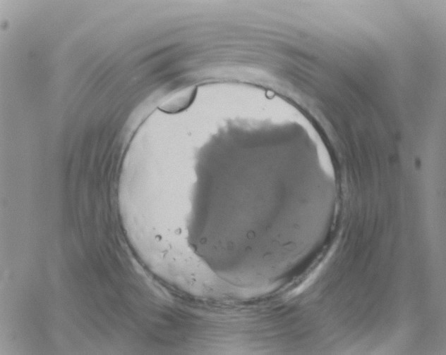 X0000064741529200603131305