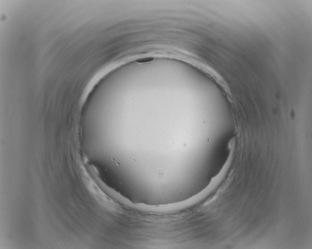 X0000064741530200603131305