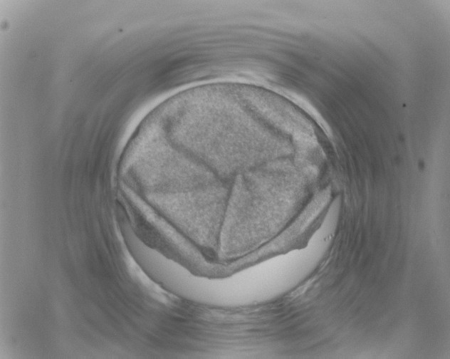 X0000064741532200603131306