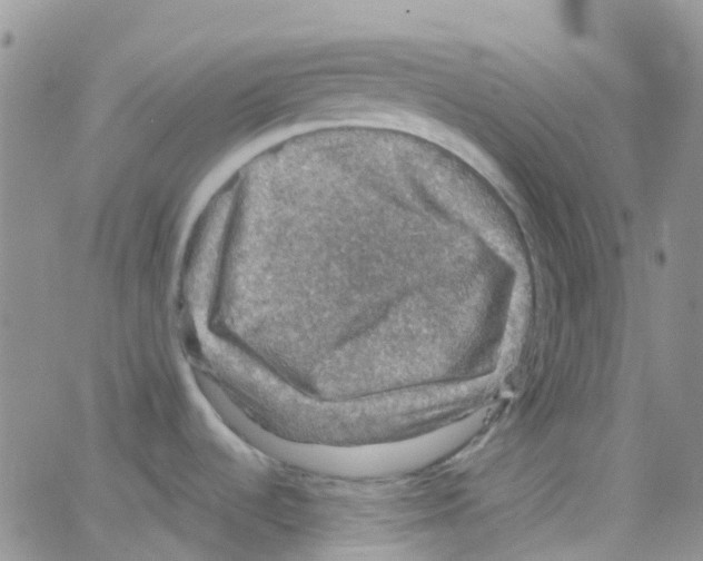 X0000064741536200603131306