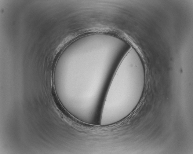 X0000064750011200602101010