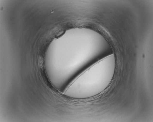 X0000064750025200602101009