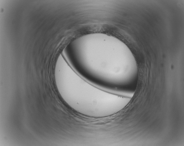 X0000064750035200602101009
