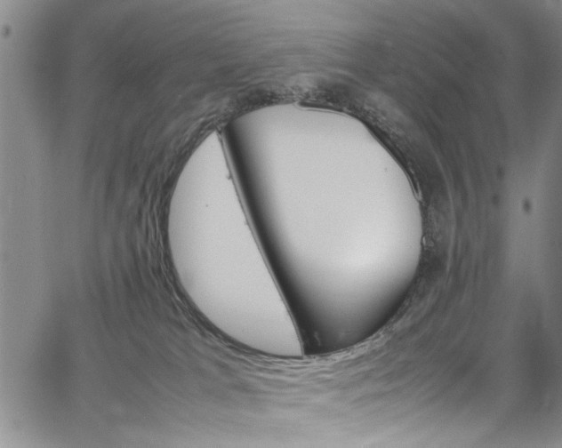 X0000064750037200602101009