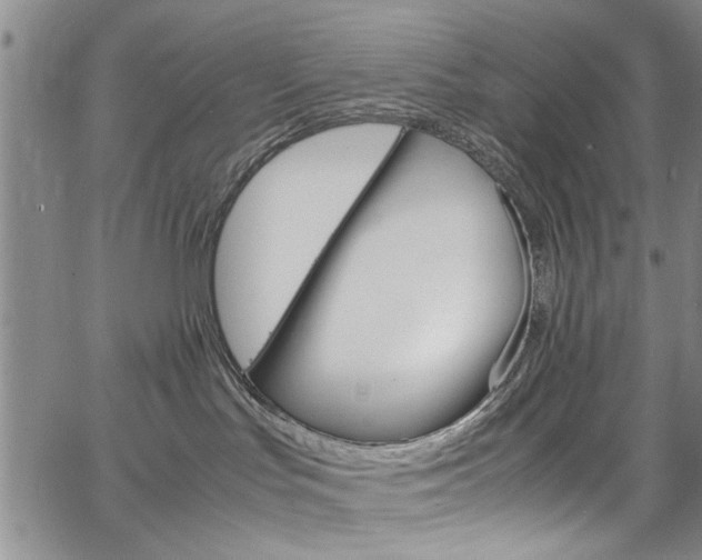 X0000064750047200602101009