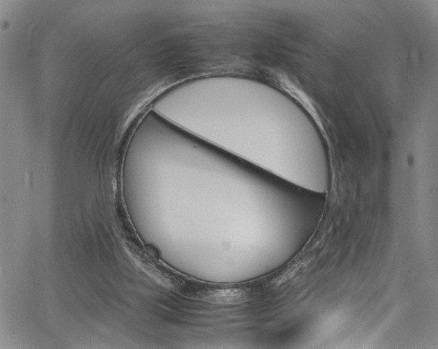 X0000064750059200602101008