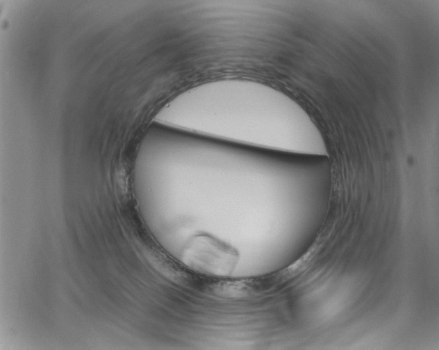 X0000064750086200602101009