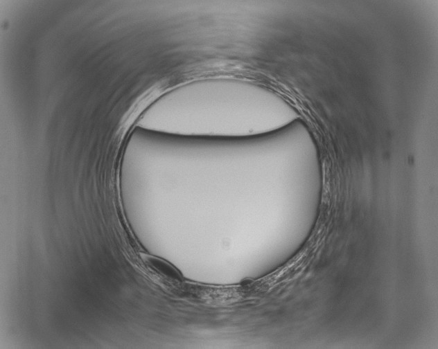 X0000064750099200602101008