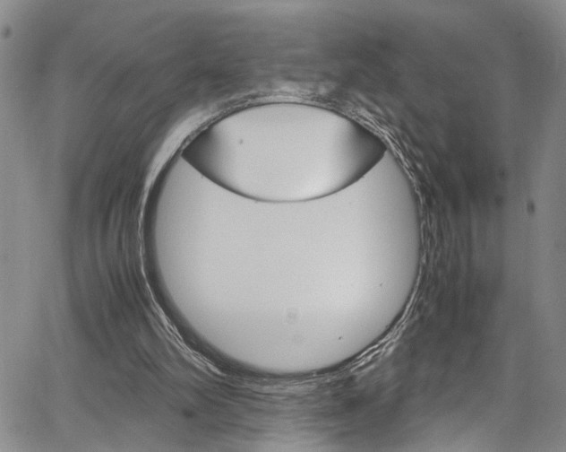 X0000064750102200602101008