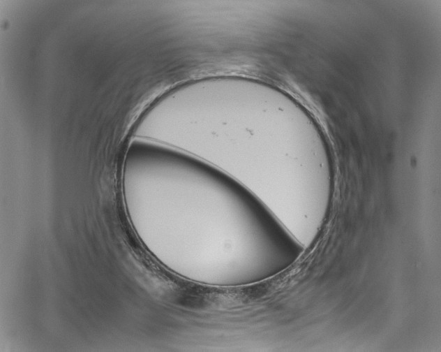 X0000064750107200602101008