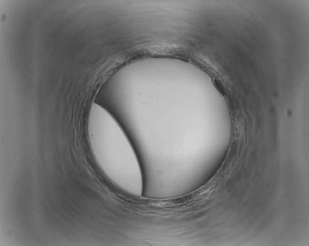 X0000064750117200602101008