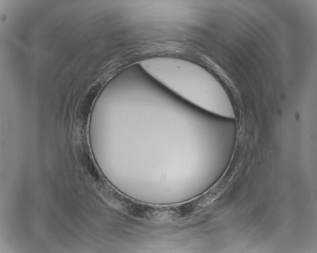 X0000064750209200602101006
