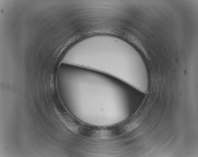 X0000064750212200602101006