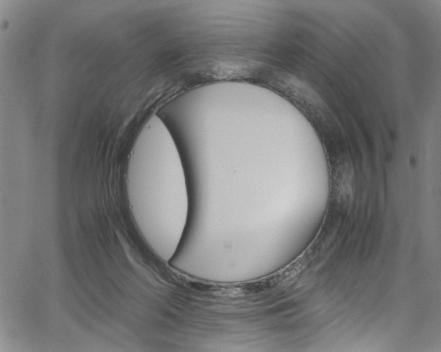 X0000064750214200602101006