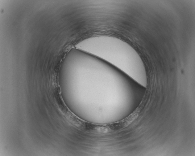 X0000064750272200602101006