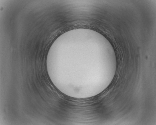 X0000064750288200602101006