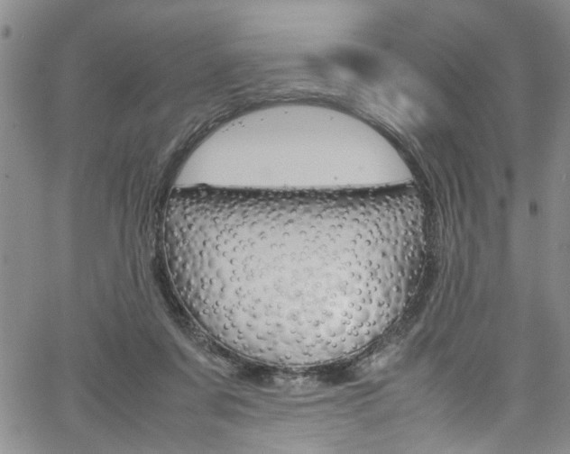 X0000064750311200602101005