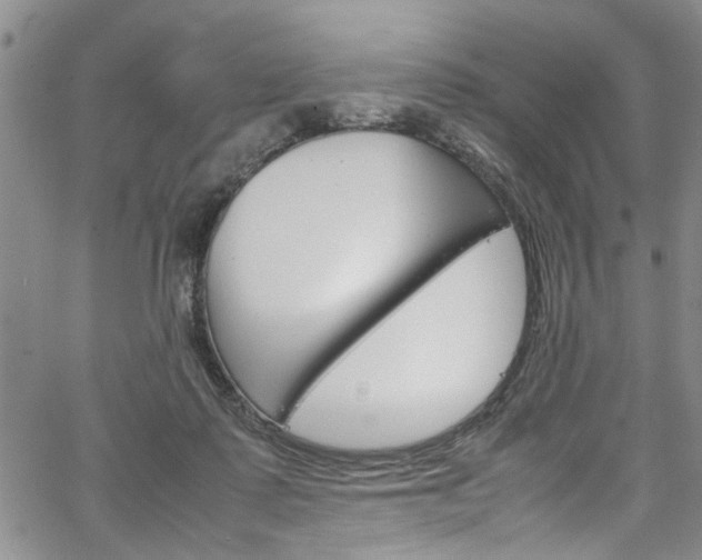 X0000064750315200602101005