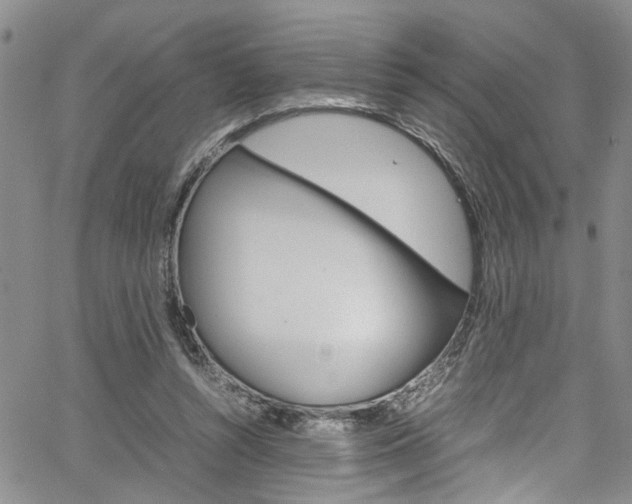 X0000064750352200602101004